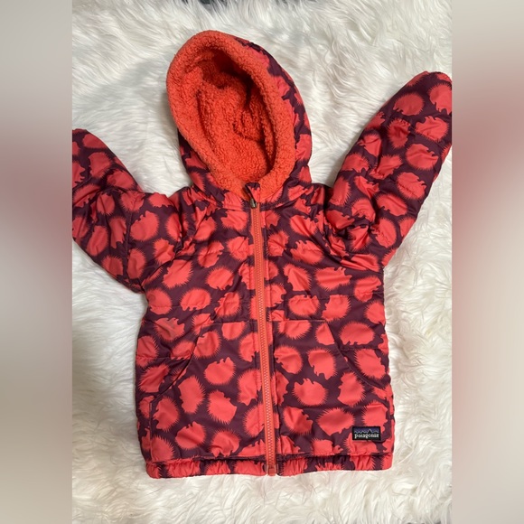 Patagonia Other - Girls Patagonia fleece lined jacket